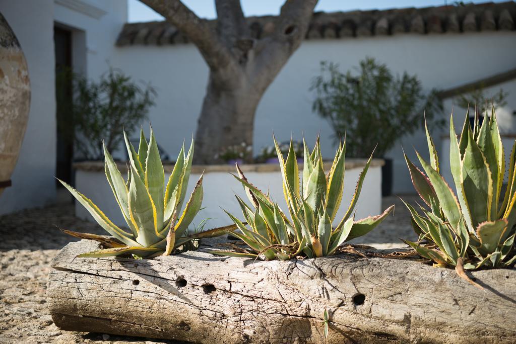 Cortijo El Guarda Bed and Breakfast Alcalá del Valle Esterno foto